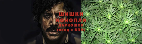 PSILOCYBIN Алзамай
