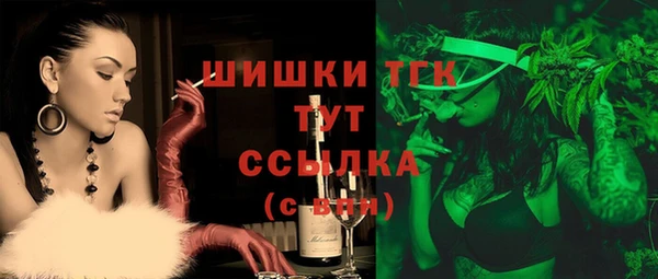 PSILOCYBIN Алзамай