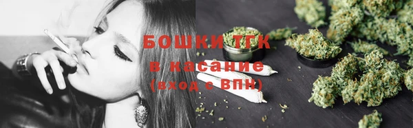 PSILOCYBIN Алзамай