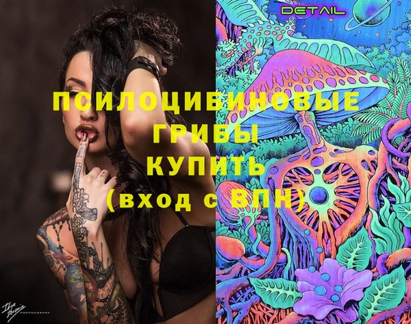 PSILOCYBIN Алзамай