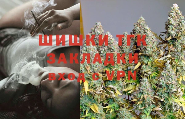 PSILOCYBIN Алзамай