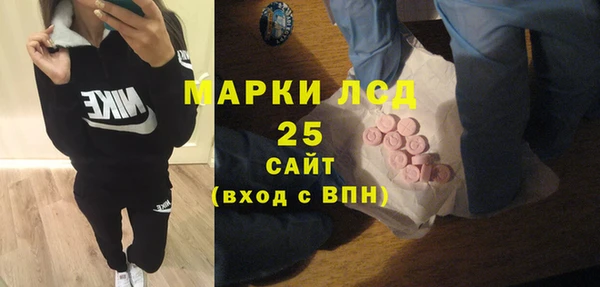 хмурый Лагань